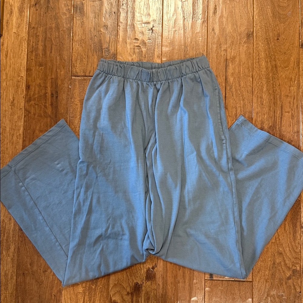 Brandy Melville Slate Blue Pants
